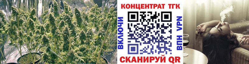 наркотики  Горячеводский  Дистиллят ТГК THC oil 