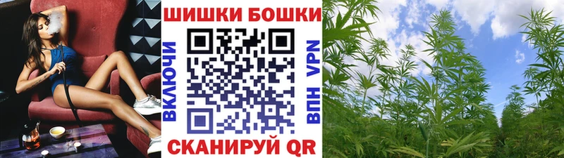 Бошки Шишки конопля  купить наркотики сайты  Горячеводский 